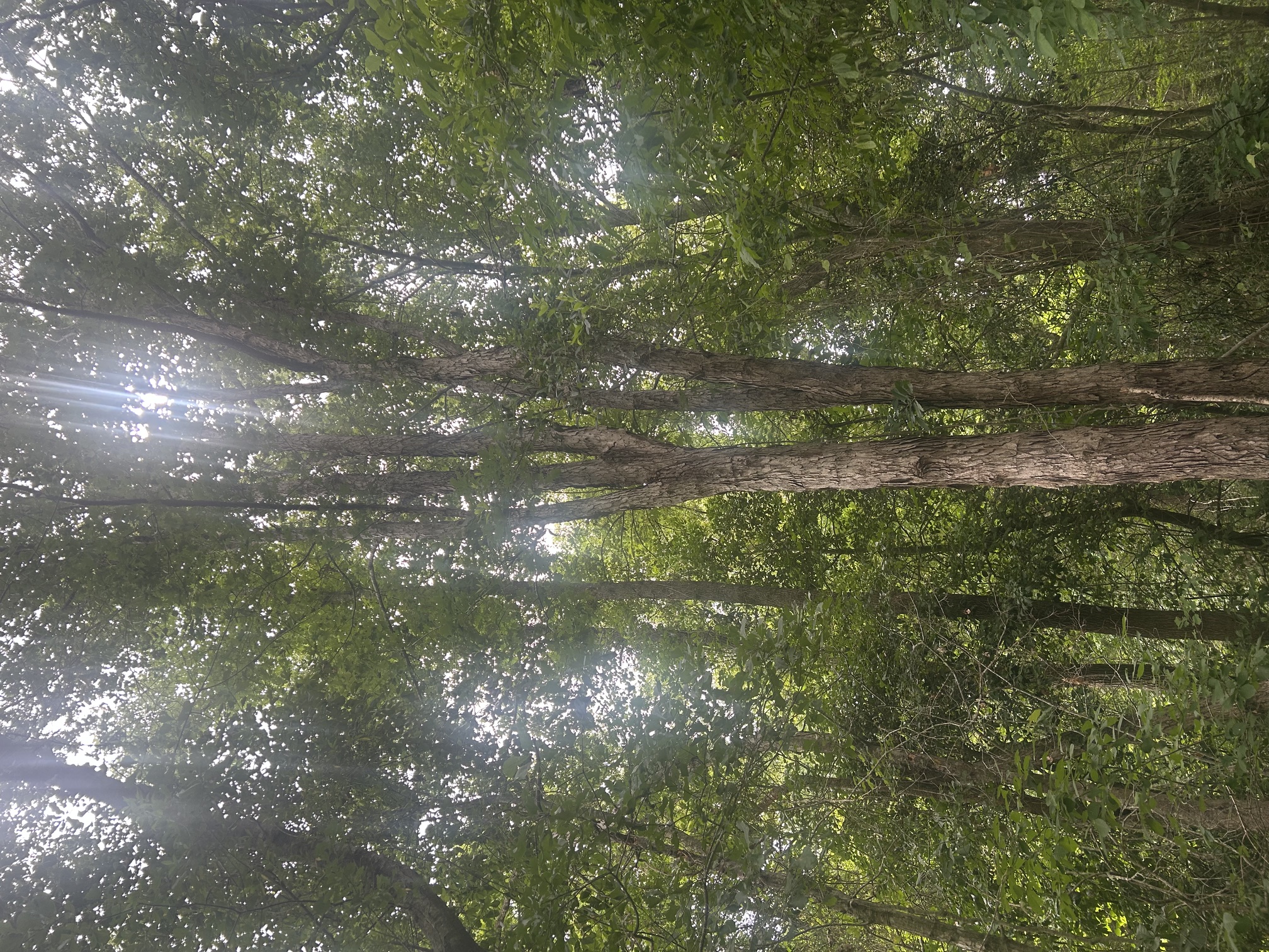 100584000 | Photo 15